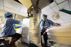 Philippines - a high potential market for Vietnamese exports: office