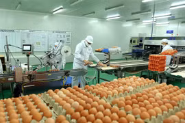 Vietnam has potential to promote livestock product exports to China