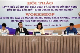 Binh Thuan workshop seeks feedback on revised State capital law