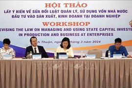 Binh Thuan workshop seeks feedback on revised State capital law