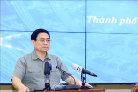 PM urges stronger implementation of special mechanisms for HCM City 