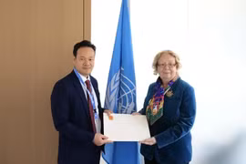 Vietnam wants to continue promoting cooperation with UN: Diplomat