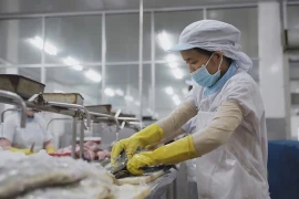 Seafood exports enjoy bright prospects in Swiss market