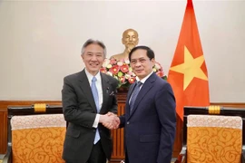 Vietnam, Japan look to step up culture, education, science, technology cooperation