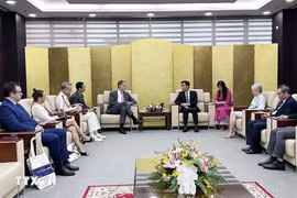 Da Nang seeks cooperation with French partners