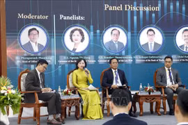 Vietnam’s macro-economic achievements praised at international workshop