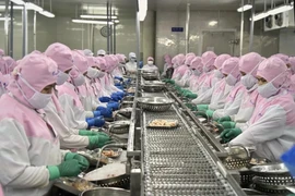 Vietshrimp 2024: Measures sought to recover shrimp industry