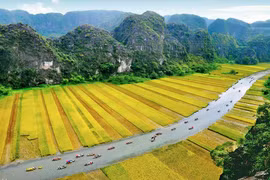 Google Arts & Culture exhibition spotlights Trang An Landscape Complex