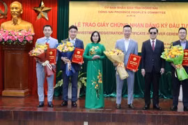 Dong Nai lures nearly 500 million USD in FDI in first days of 2024