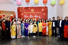 Homeland Spring programme held in Shanghai for OVs
