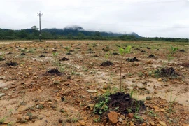 2023 war aftermath alleviation efforts reviewed