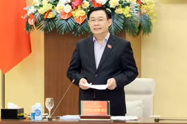 Meeting looks into draft NA resolution for facilitating Nghe An’s development