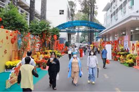 Flower streets bring spring to patients in HCM City