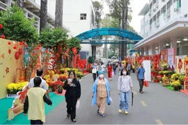 Flower streets bring spring to patients in HCM City