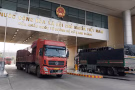 Nearly 3,000 Vietnamese firms receive codes to export agricultural products to China