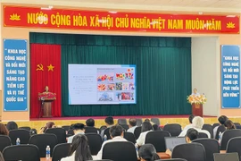 Gia Lai seminar explores potential of Halal industry