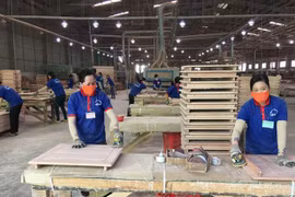  Wood industry aims to export 15.2 billion USD in 2024