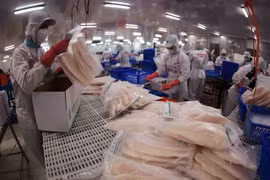 Tra fish export to UAE jumps 67% in Q1