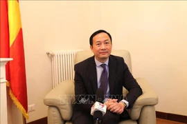 Favorable foundations present for enhanced Vietnam-Malta cooperation: ambassador