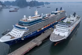 Vietnam to join global tourism recovery trend this year: insiders