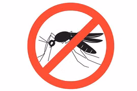 Vietnam confident of malaria elimination by 2030: Deputy Health Minister