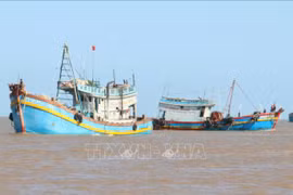 Southern localities take urgent action to fight IUU fishing