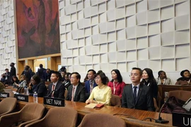 2023 a successful year of Vietnam’s cultural diplomacy at UNESCO: Ambassador