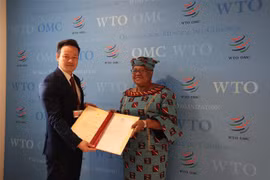 WTO acknowledges Vietnam’s contributions to multilateral trade system
