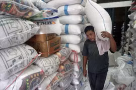 Indonesia strives to control domestic rice prices