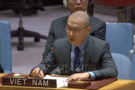 Vietnam renews appeal for immediate ceasefire in Gaza Strip