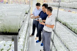 Businesses speed up green, digital transformation for breakthrough