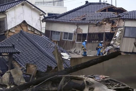 No casualties among Vietnamese citizens in Japan due to earthquake recorded: Embassy