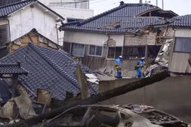 No casualties among Vietnamese citizens in Japan due to earthquake recorded: Embassy