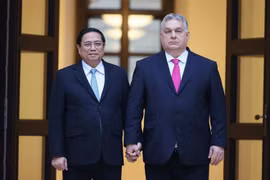 Vietnamese, Hungarian PMs hold talks