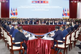 Vietnam calls for breakthrough measures for CLV development triangle area