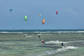 Vietnamese holidaymakers prioritise domestic tourism during Tet holiday: report