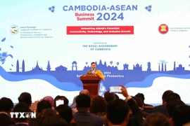 ASEAN-Cambodia Business Summit 2024 held