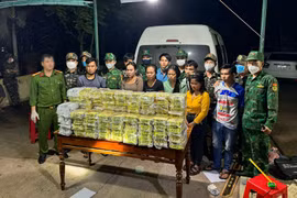 Transnational drug ring busted in Quang Tri province