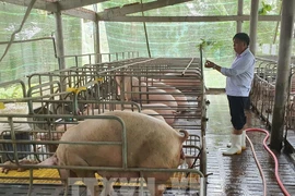 C.P. Vietnam partnering with 2,500 Vietnamese farms
