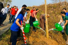 Up to 1,000 ban flowers planted at Dien Bien Phu battlefield relic sites