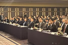 Conference calls for Japanese investment in Vietnam’s stock market