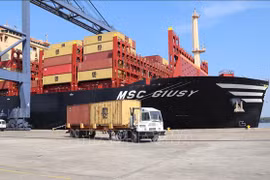 Over 170,000 DWT container ship docks at Ba Ria – Vung Tau’s deep-water port