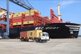 Over 170,000 DWT container ship docks at Ba Ria – Vung Tau’s deep-water port