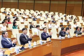 NA Standing Committee gears up for busy year with review conference