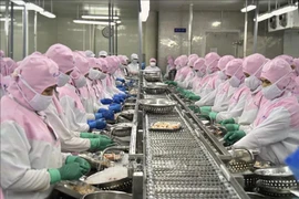 Shrimp exports to major markets bounce back