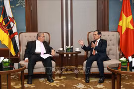 Vietnam, Brunei agree to deepen bilateral cooperation