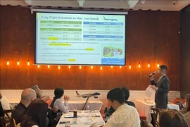 Vietnam’s destinations, e-visa policy promoted in Hong Kong
