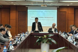 Workshop spotlights external challenges’ impacts on Vietnam’s development
