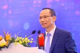 Vietnamese economy recovers last year: Expert