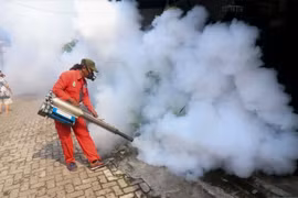 Indonesia logs threefold increase in dengue cases